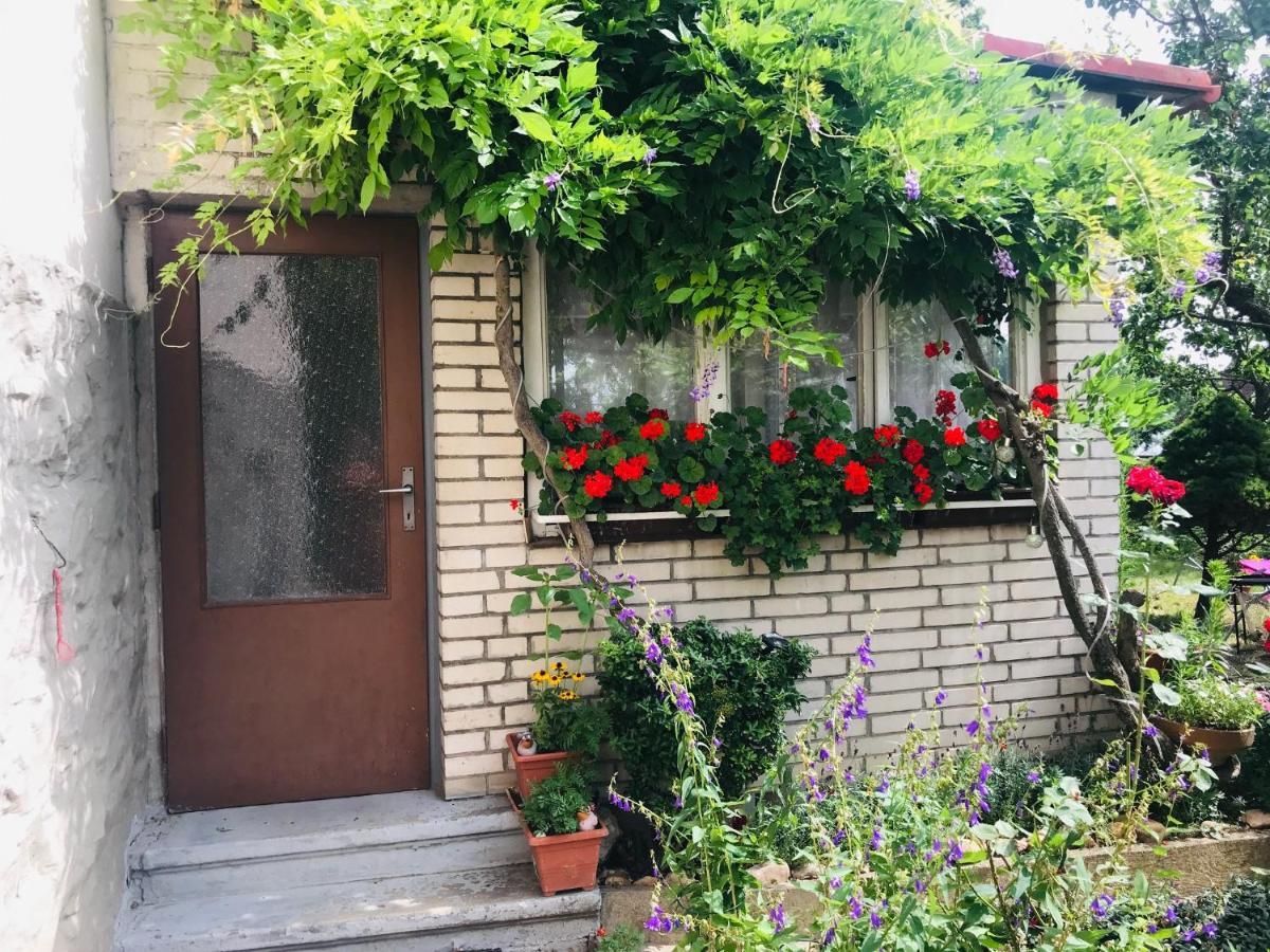 Garden View *